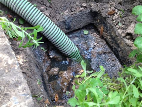 septic tank system problems